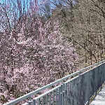 Appartamento - Romantisches Im Sauerland Naehe Willingen Winterberg Mit Seeblick