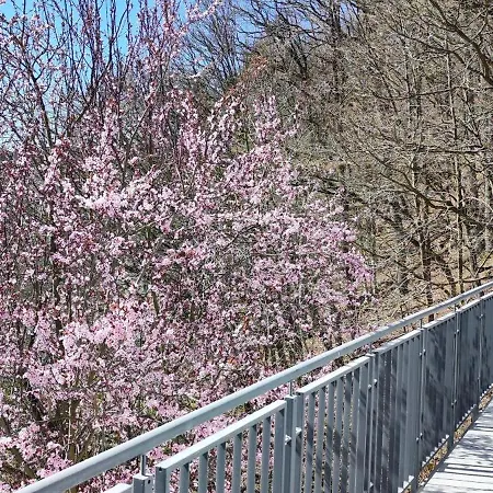 Apartment - Romantisches Im Sauerland Naehe Willingen Winterberg Mit Seeblick