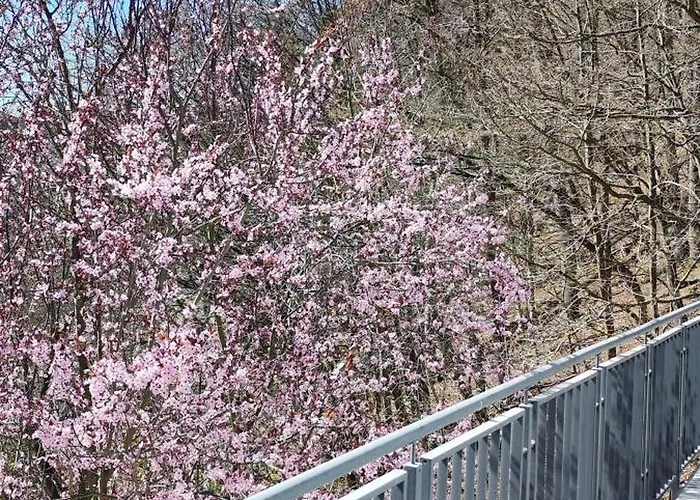 Apartamento - Romantisches Im Sauerland Naehe Willingen Winterberg Mit Seeblick
